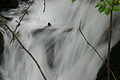 DSC07749 - Bernhard Saalfeld
