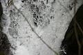 DSC07751 - Bernhard Saalfeld