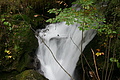 DSC07752 - Bernhard Saalfeld