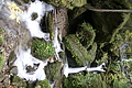 DSC07754 - Bernhard Saalfeld