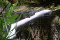 DSC07758 - Bernhard Saalfeld