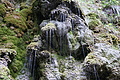 DSC07762 - Bernhard Saalfeld