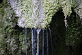 DSC07763 - Bernhard Saalfeld