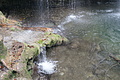 DSC07777 - Bernhard Saalfeld