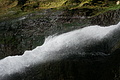 DSC07782 - Bernhard Saalfeld