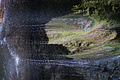 DSC07785 - Bernhard Saalfeld