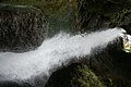 DSC07789 - Bernhard Saalfeld