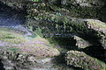 DSC07790 - Bernhard Saalfeld