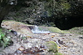 DSC07796 - Bernhard Saalfeld