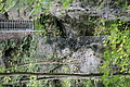 DSC07798 - Bernhard Saalfeld