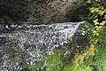 DSC07800 - Bernhard Saalfeld