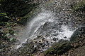 DSC07803 - Bernhard Saalfeld