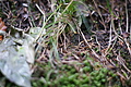 DSC07805 - Bernhard Saalfeld