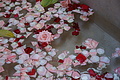 DSC00398 - Bernhard Saalfeld