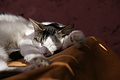 DSC00428 - Bernhard Saalfeld