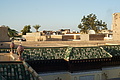 DSC00503 - Bernhard Saalfeld