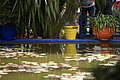 DSC00657 - Bernhard Saalfeld