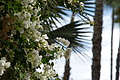 DSC00664 - Bernhard Saalfeld