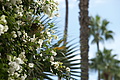 DSC00665 - Bernhard Saalfeld