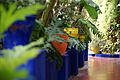 DSC00668 - Bernhard Saalfeld