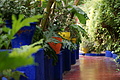 DSC00671 - Bernhard Saalfeld