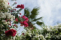 DSC00709 - Bernhard Saalfeld