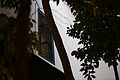 DSC00742 - Bernhard Saalfeld