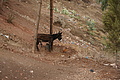 DSC00887 - Bernhard Saalfeld