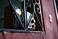 DSC00905 - Bernhard Saalfeld