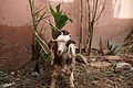 DSC00915 - Bernhard Saalfeld