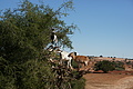 DSC01043 - Bernhard Saalfeld