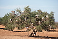 DSC01047 - Bernhard Saalfeld