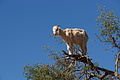 DSC01051 - Bernhard Saalfeld