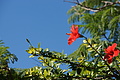 DSC01125 - Bernhard Saalfeld