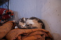 DSC01159 - Bernhard Saalfeld