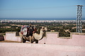 DSC01169 - Bernhard Saalfeld