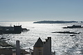 DSC01182 - Bernhard Saalfeld