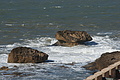 DSC01191 - Bernhard Saalfeld