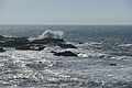 DSC01200 - Bernhard Saalfeld