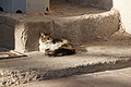 DSC01211 - Bernhard Saalfeld
