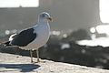 DSC01215 - Bernhard Saalfeld