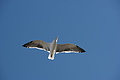 DSC01227 - Bernhard Saalfeld