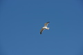 DSC01233 - Bernhard Saalfeld