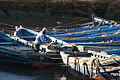 DSC01234 - Bernhard Saalfeld