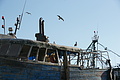 DSC01238 - Bernhard Saalfeld