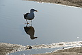 DSC01247 - Bernhard Saalfeld