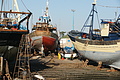 DSC01256 - Bernhard Saalfeld