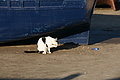 DSC01268 - Bernhard Saalfeld