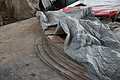 DSC01297 - Bernhard Saalfeld