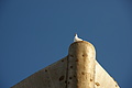 DSC01302 - Bernhard Saalfeld
